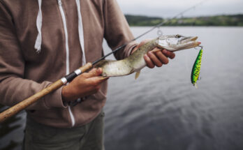 Quotes About Fishing