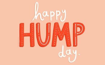 hump day quotes