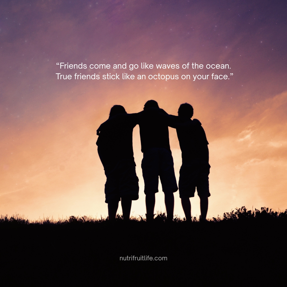 "Funny friends quotes about true friends who stick with you like an octopus on your face"