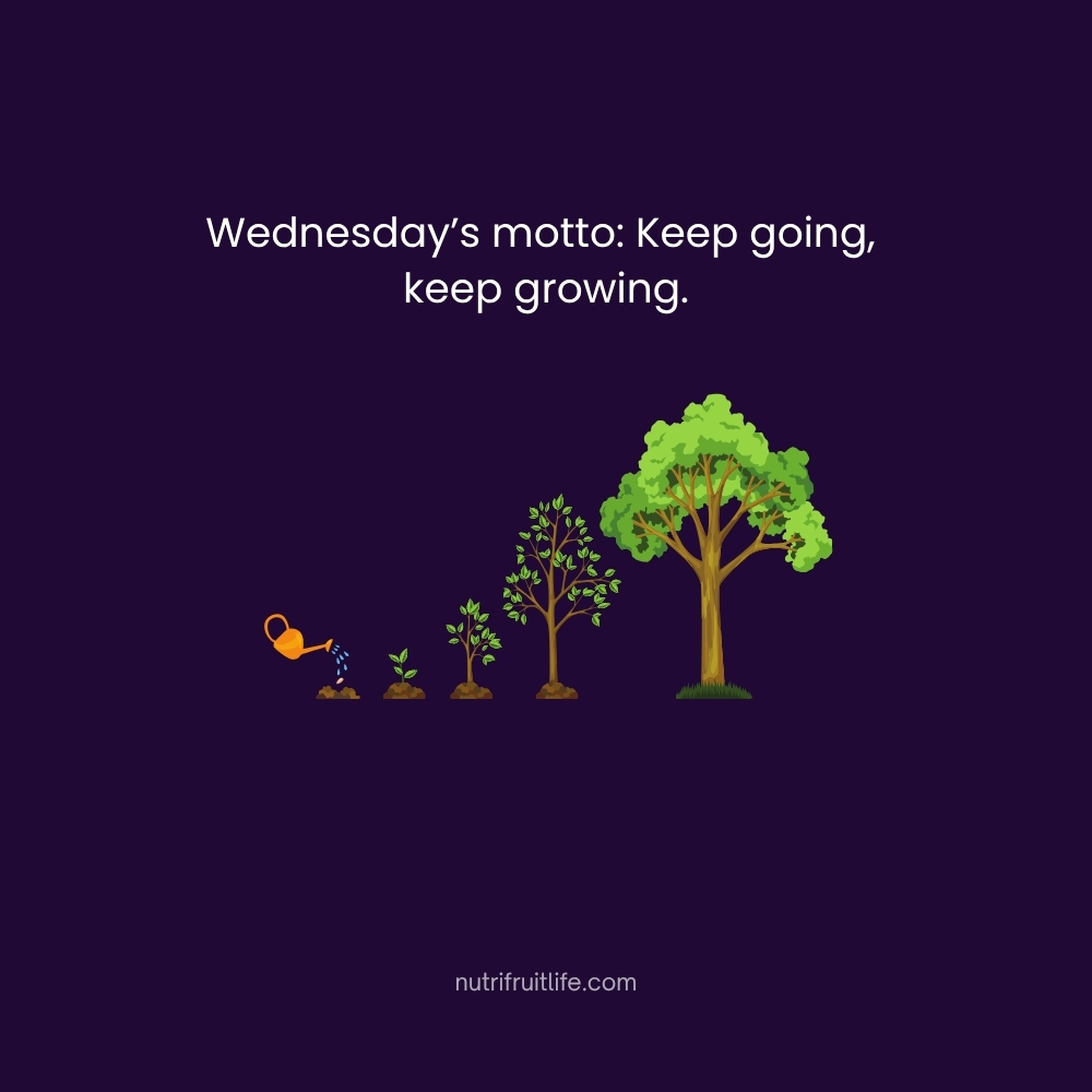 Wednesday’s motto: Keep going, keep growing – Hump Day Quotes