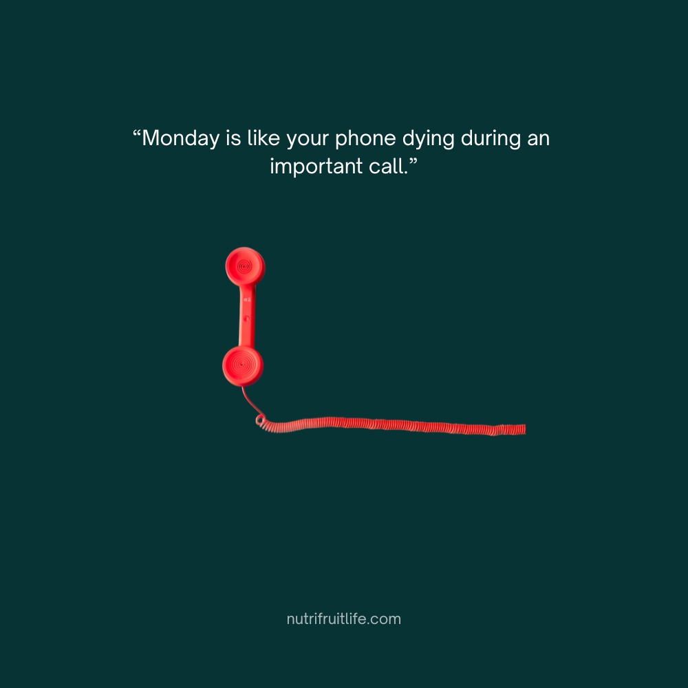 Relatable funny quote about Monday ruining moments like a phone dying mid-call.