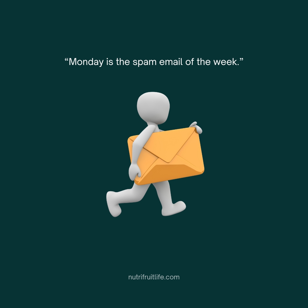 A humorous Monday quote comparing Mondays to spam emails that nobody wants.