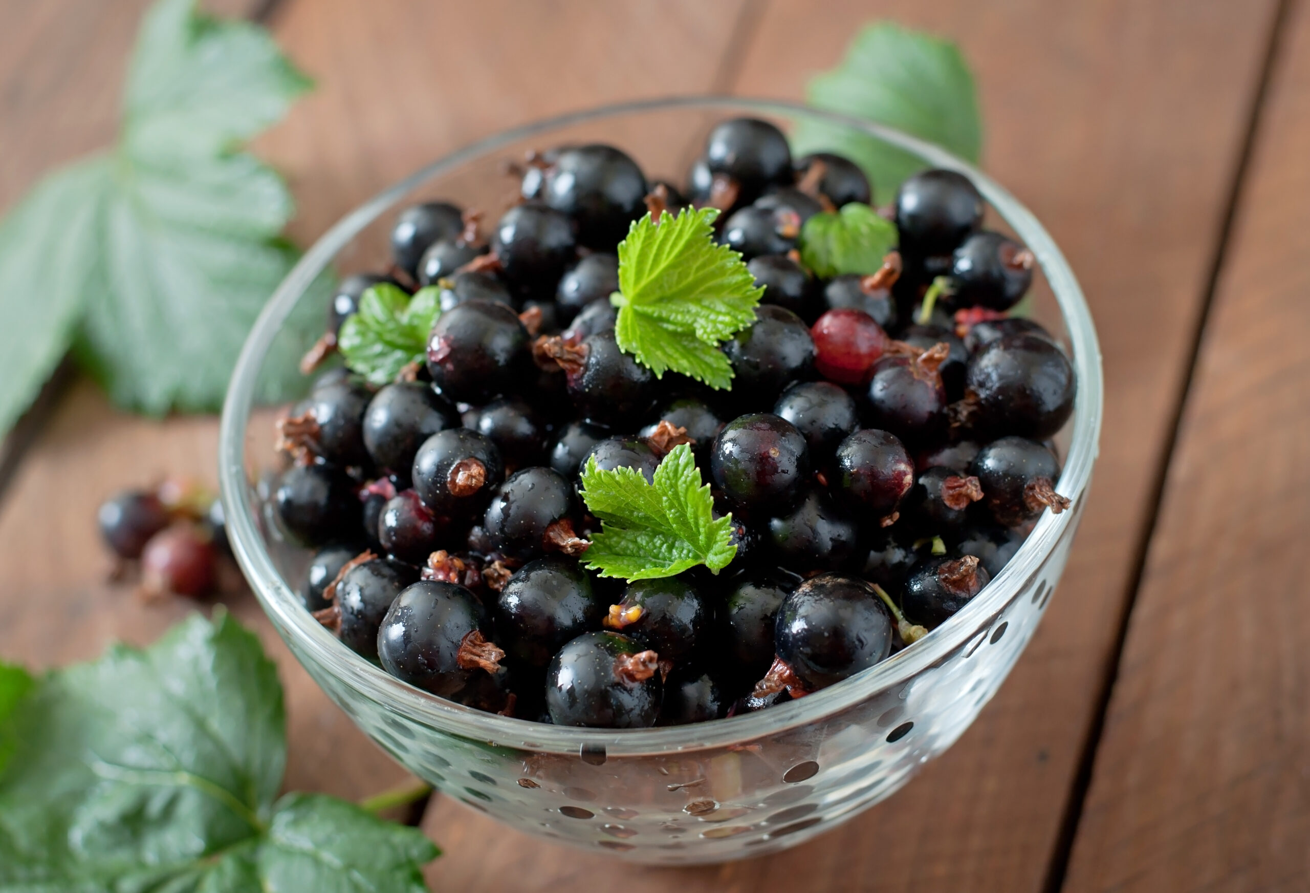 Chokeberry Benefits for Skin