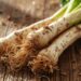 Burdock Root Benefits for Skin